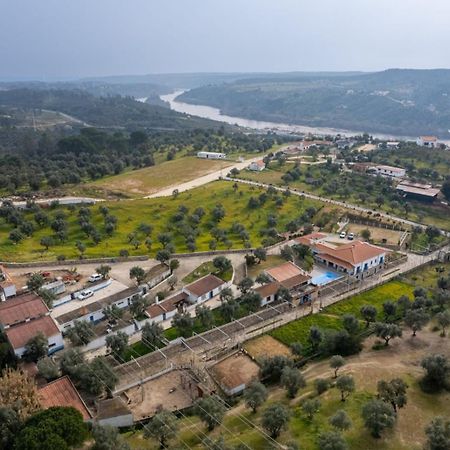 Quinta Ribeiro Tanquinhos Guest House Tancos ภายนอก รูปภาพ
