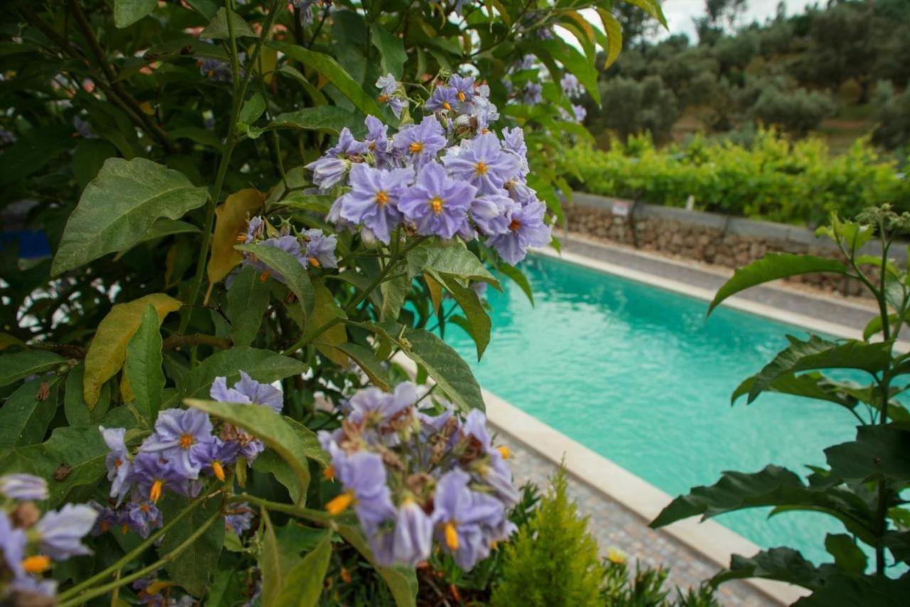 Quinta Ribeiro Tanquinhos Guest House Tancos ภายนอก รูปภาพ