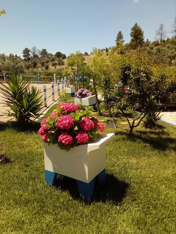 Quinta Ribeiro Tanquinhos Guest House Tancos ภายนอก รูปภาพ
