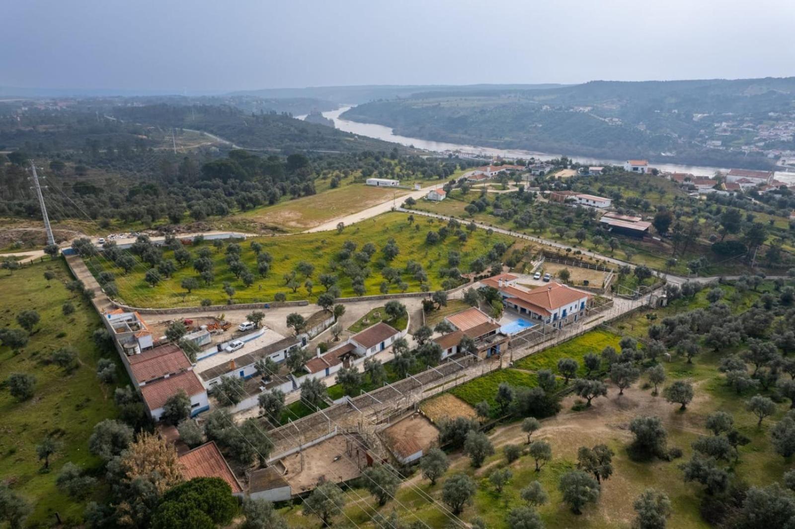 Quinta Ribeiro Tanquinhos Guest House Tancos ภายนอก รูปภาพ
