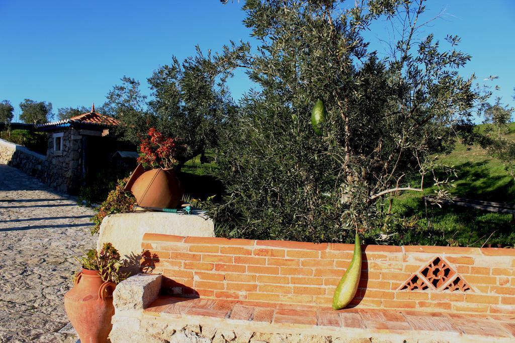 Quinta Ribeiro Tanquinhos Guest House Tancos ภายนอก รูปภาพ